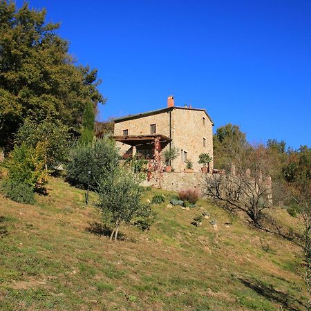 Podere Piandicava Castelnuovo di Val di Cecina Extérieur photo