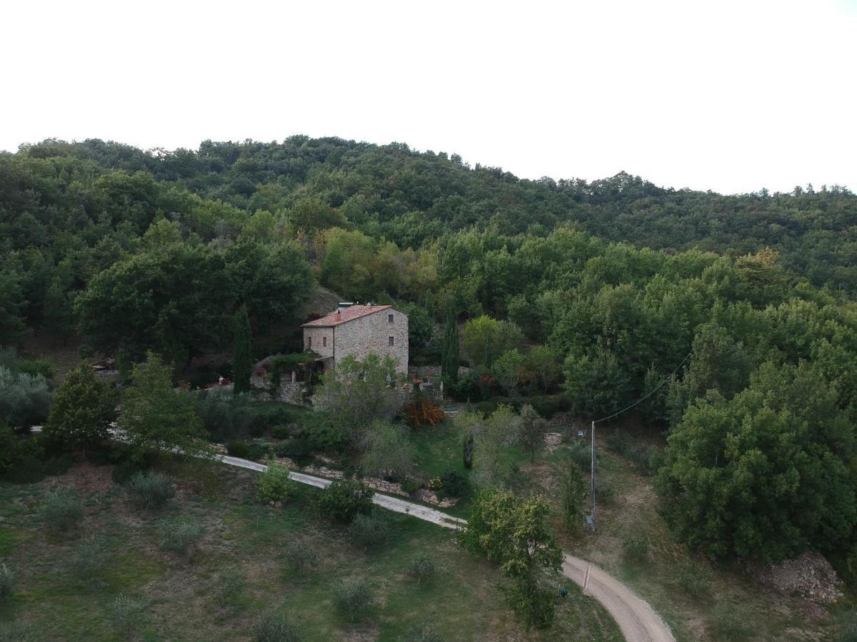 Podere Piandicava Castelnuovo di Val di Cecina Extérieur photo