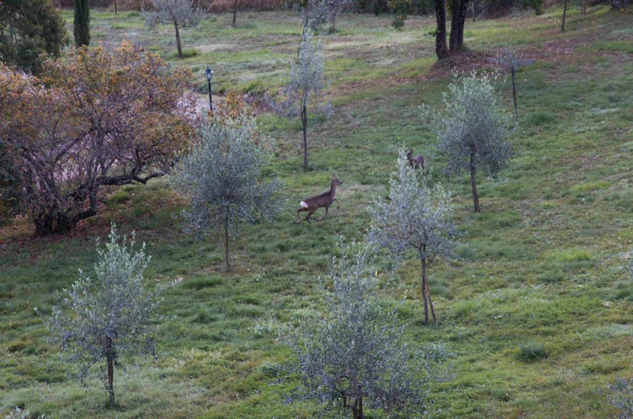 Podere Piandicava Castelnuovo di Val di Cecina Extérieur photo