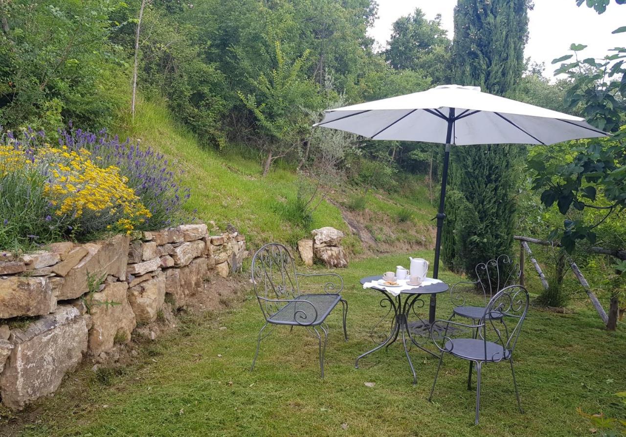 Podere Piandicava Castelnuovo di Val di Cecina Extérieur photo