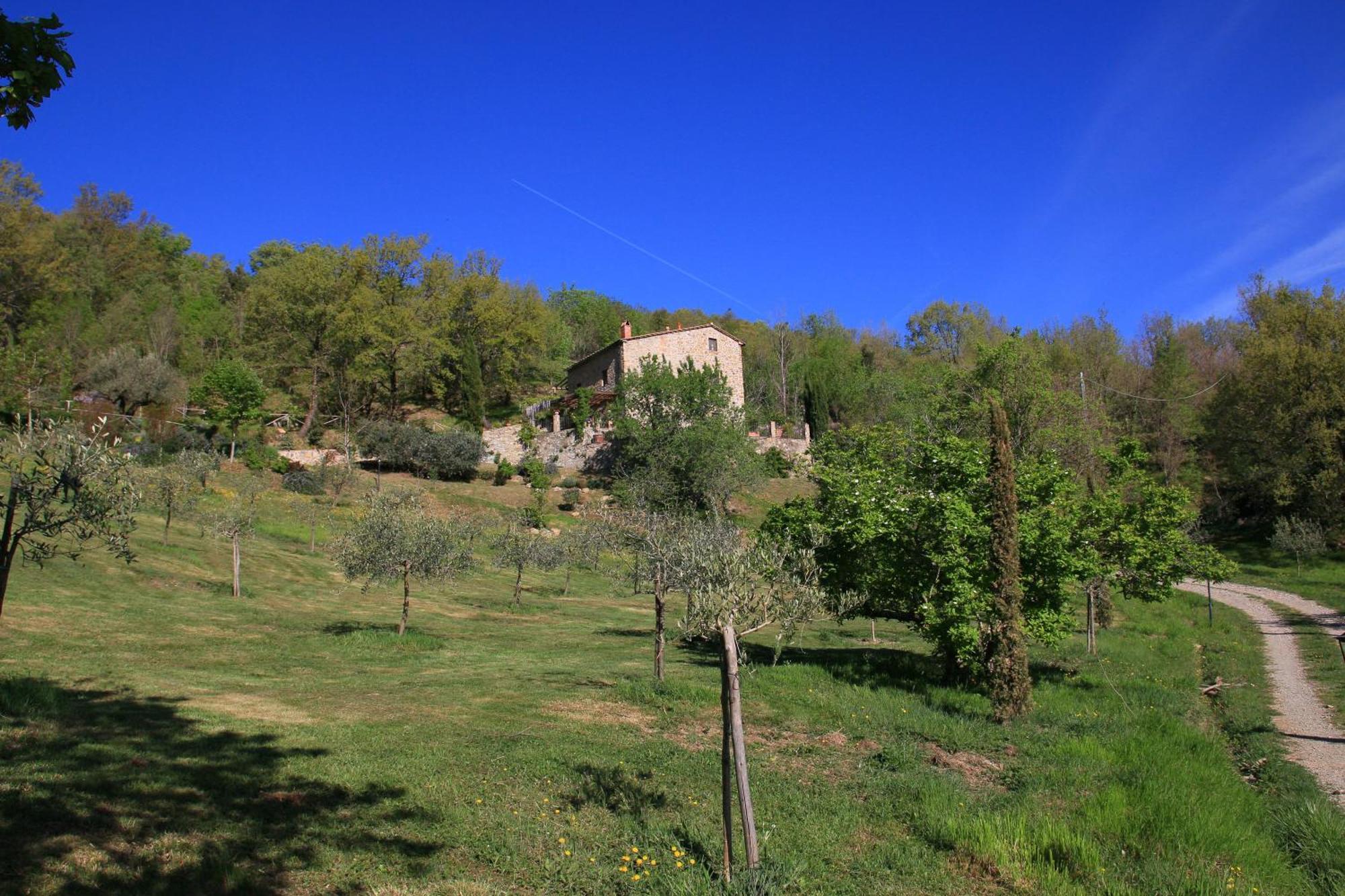 Podere Piandicava Castelnuovo di Val di Cecina Extérieur photo