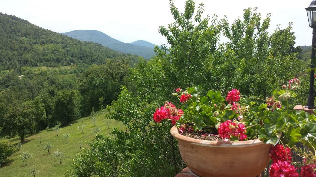 Podere Piandicava Castelnuovo di Val di Cecina Extérieur photo